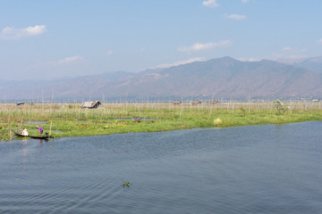 Fototapeta na wymiar Scenery at Inle Lake, Nyaung Shwe, Myanmar (Birma)