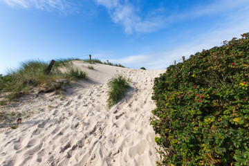 Wanderweg in den Dünen
