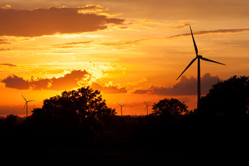 Obraz premium Windmills at Sunset