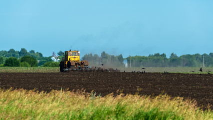 A yellow tractor plows a field, birds collect leftover grain