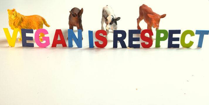 Group of toy animals on a white background with some colorful wooden letters that say veganism is respect. Animal respect concept. Photography with space for text. For didactic and pedagogical use