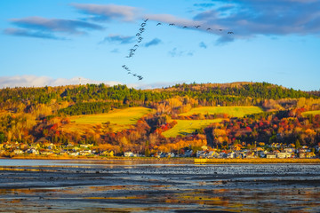 Fototapeta premium Autumn Landscape View of La Baie City with Birds on Saguenay River at Dusk