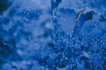 Classic Blue color. Color of the year 2020. Trendy color. New color of the year. Blue trendy color. Toned blue color. Nature leaves water drops blue color tone. Cold winter. Cold blue tone. Snowy tone