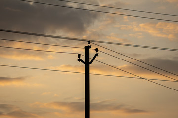 View of electricity pole with silhouette effect during the sunset