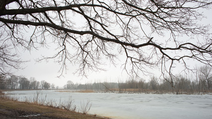 River and ice and deciduous trees on the shore in cloudy weather.