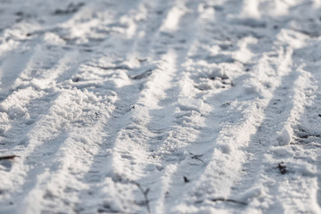 Tracks from the tread of bicycle tires on the white snow.