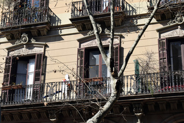 Fototapeta na wymiar Apartment Building and Tree-Iron Railings on Balcony 3510-039