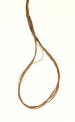 rope with knot isolated on white background