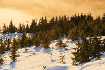 Traveling tourists on the snowy winter mountain ranges of the Ukrainian Carpathians with beautiful views of the evening peaks.