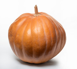 pumpkin on a white background, scenery for halloween