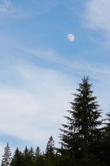Summer landscape in mountains and the dark blue sky