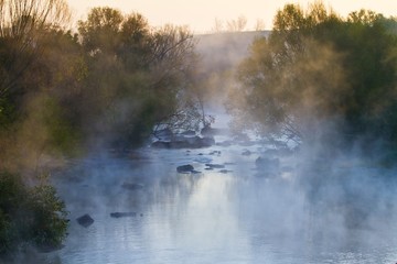 Plakat thick fog cover a narrow river with fast flow and stone rapids, willow trees on its banks, beautiful quiet and peaceful misty dawn, mysterious morning mood