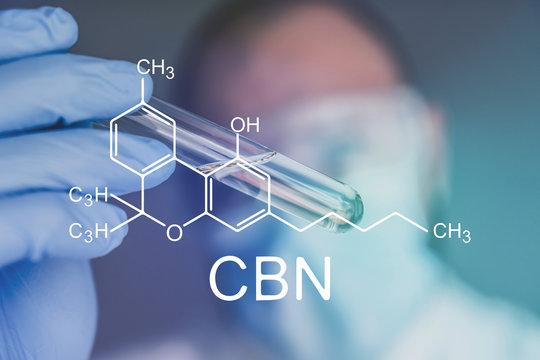 medical CBN Cannabinol formula . Weed for recreational purposes. Indoor method of growing cannabis. Bloom of cannabis. Indoor grow cannabis cultivation. The concept of growing pot marijuana.
