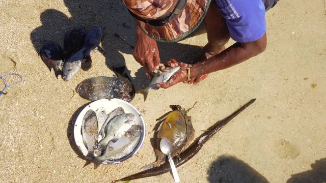 Malagasy fisherman from Anakao, Madagascar, cleaning freshly caught fish, removing scales with knife, on the beach, view from above, detail to hands.