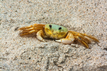 Maria Farinha IMG_4000