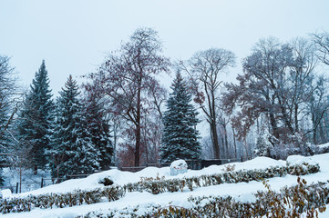 KYIV, UKRAINE - JANUARY 28,2019: Fomin Botanical Garden after snow storm in Kyiv, Ukraine on...