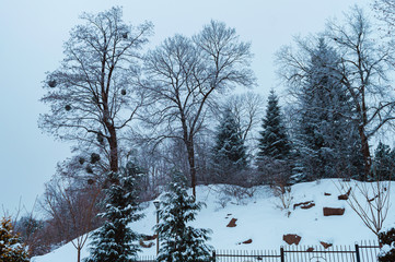 KYIV, UKRAINE - JANUARY 28,2019: Fomin Botanical Garden after snow storm in Kyiv, Ukraine on...