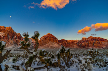 Winter Sunrise at Red Rock
