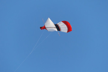 kite in the sky