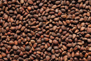 Pine nuts. Textured background for wallpaper.