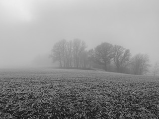 Fototapeta na wymiar Cold frozen winter landscape in black and white