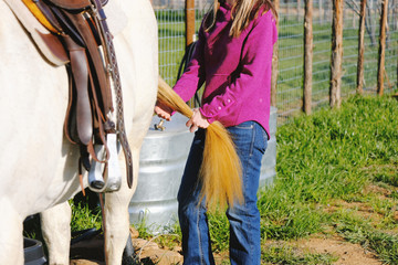 Woman grooming horse tail close up for animal care concept.