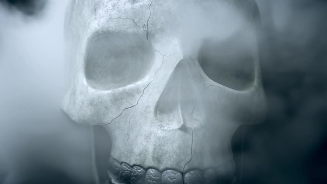 Textured skeleton skull in smoke, The concept of horror. 3d redner