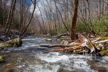 River running through forest in winter
