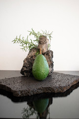 avocado