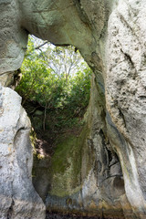 Blowhole at Te Whanganui-A-Hei Cathedral Cove Marine Reserve  in Coromandel Peninsula, New Zealand