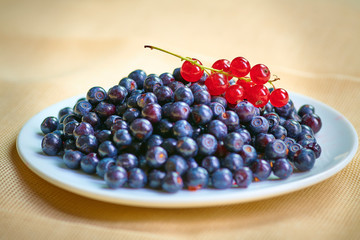 Fresh washed blueberries on table