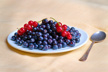 Fresh washed blueberries on table