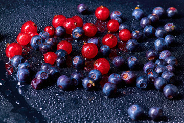 Fresh washed blueberries with drops of water on a background