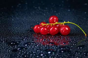 Fresh washed berries of red currant.with water drops on the background