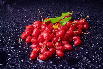 Fresh washed berries of red currant.with water drops on the background