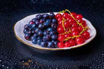 Fresh washed blueberries with drops of water on a background