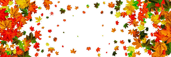 Obraz premium Autumn background. Falling October leaves isolated on white. Season concept