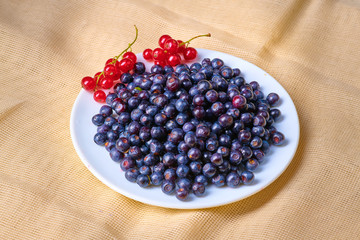Fresh washed blueberries on table