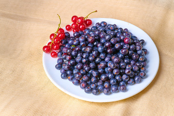 Fresh washed blueberries on table