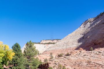 Fototapeta premium ZION, Utah/ united states of America-October 3rd 2019: landscape with erosion along ZION MOUNT CAMEL HIGHWAY