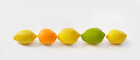 Different refreshing citrus fruits. Fruit set.Green lemon