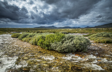 Mountain stream in Rondane National Park