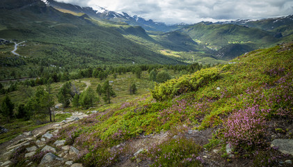 Beautiful mountains and summertime in Norway, Jotunheimen National Park.