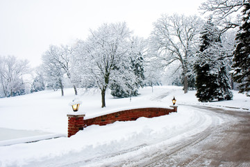 Welcome to Winter