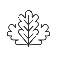 Herb leaves black line icon. Salad sign. Natural vegetable concept. Healthy, organic food. Cooking ingredient. Pictogram for web page, mobile app, promo. UI UX design element. Editable stroke.