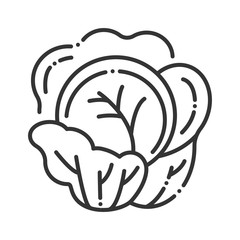 Cauliflower line black icon. Cabbage sign. Healthy, organic food. Salad ingredient. Natural vegetable. Agriculture plant. Pictogram for web page, mobile app. UI UX GUI design element. Editable stroke.