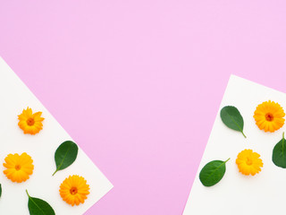 fresh flowers and green leaves on white purple papers