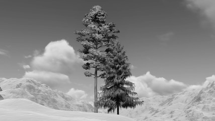 Tree in Snow Weather, Winter Background, 3D Rendering