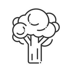 Broccoli black line icon. Natural vegetable sign. Healthy, organic food concept. Cooking ingredient. Pictogram for web, mobile app, promo. UI UX design element. Editable stroke.