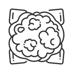 Cauliflower line black icon. Cabbage sign. Healthy, organic food. Salad ingredient. Natural vegetable. Agriculture plant. Pictogram for web page, mobile app. UI UX GUI design element. Editable stroke.